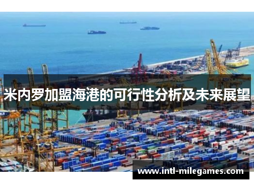 米内罗加盟海港的可行性分析及未来展望